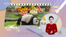 看片日韩